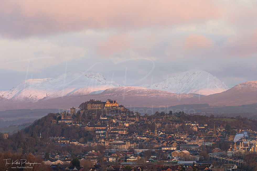 IMG00227 - Stirling Castle & The City