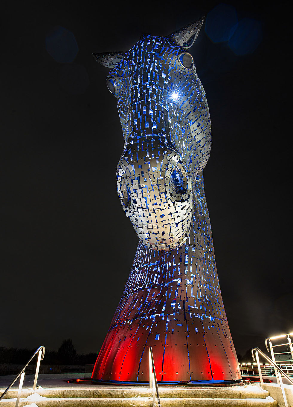 IMG00683 - Duke The Kelpies Snow