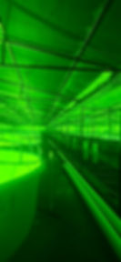 IMG-20261002-WA0012