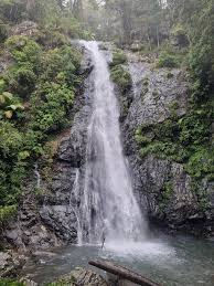 Eastern Dorrigo offers beautiful landscapes of rolling green hills dotted with cattle and sheep; ancient sub tropical rainforests, great hiking trails, and the freshest air around.