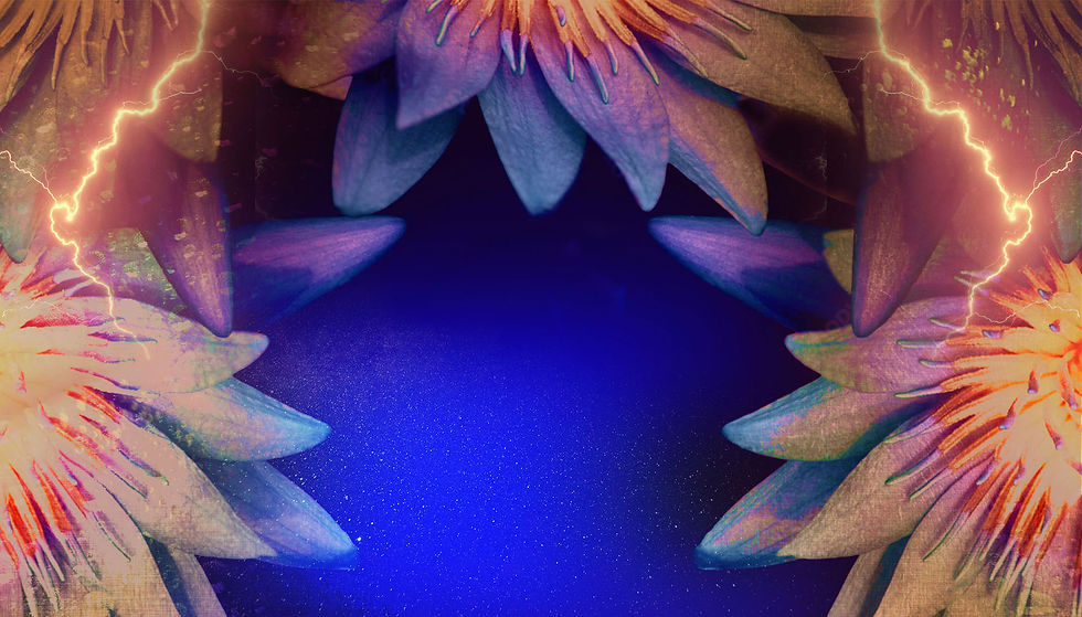 Lotus-bg_web-friendly.jpg