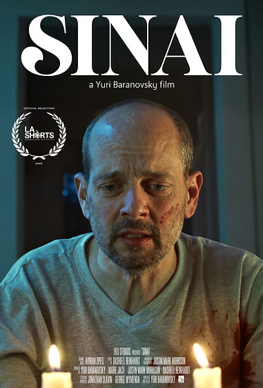 Sinai - Poster V03.jpg