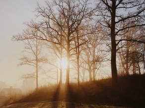 Winter sun