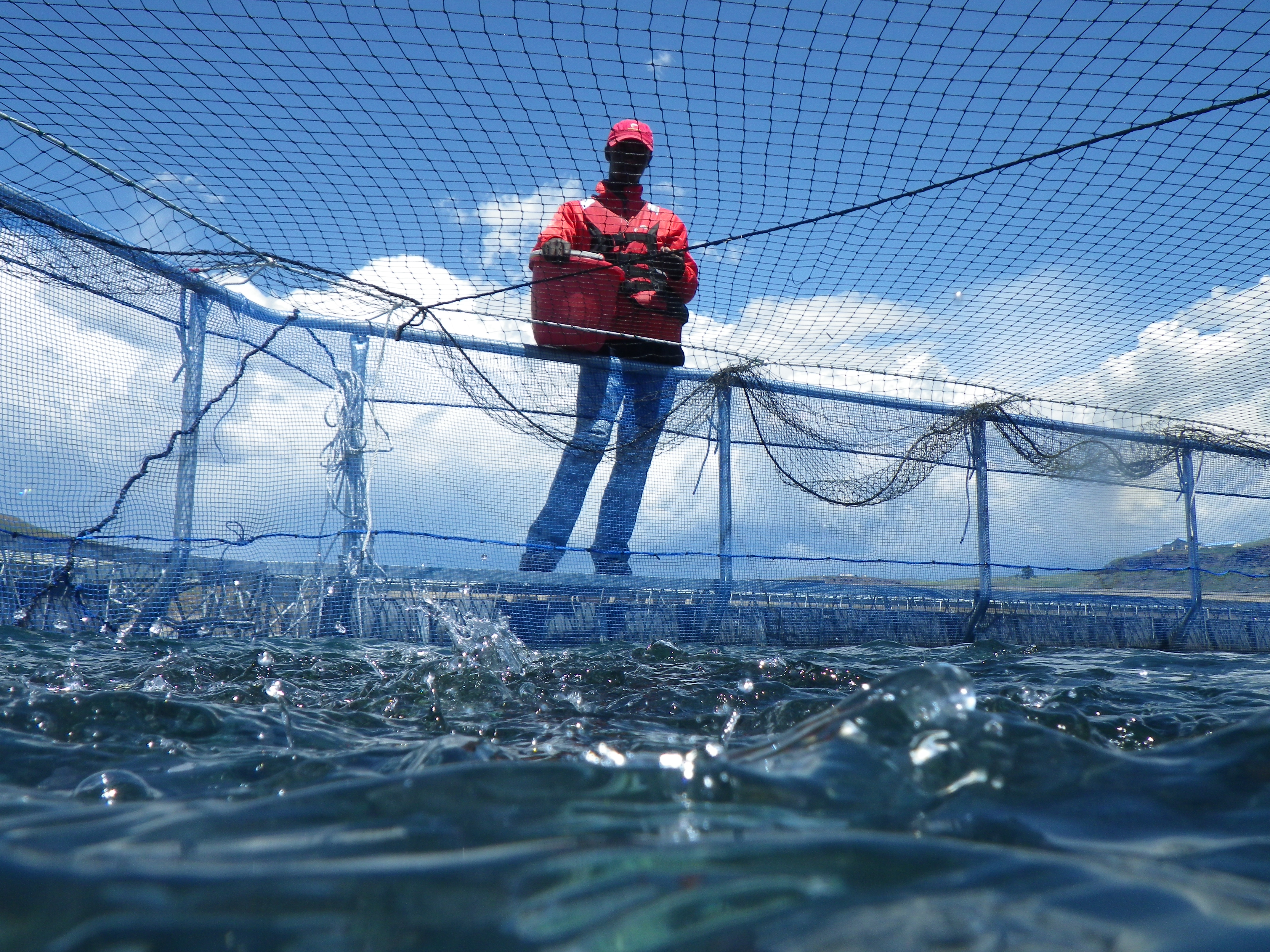 Feeding fish on Katse Dam