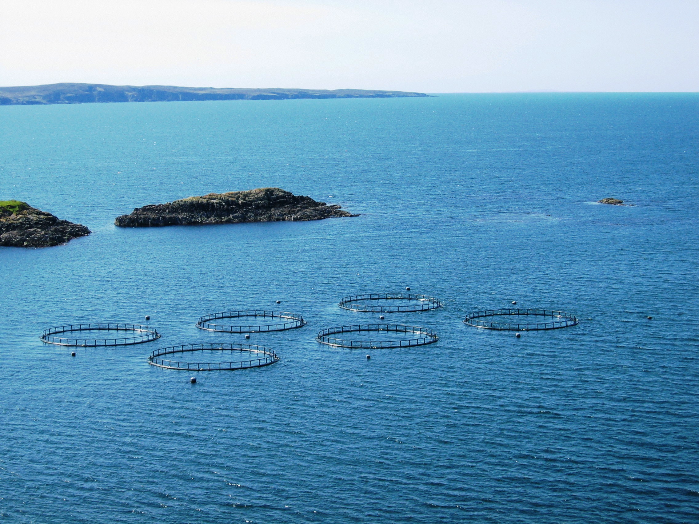 Aquaculture-Units1_Google