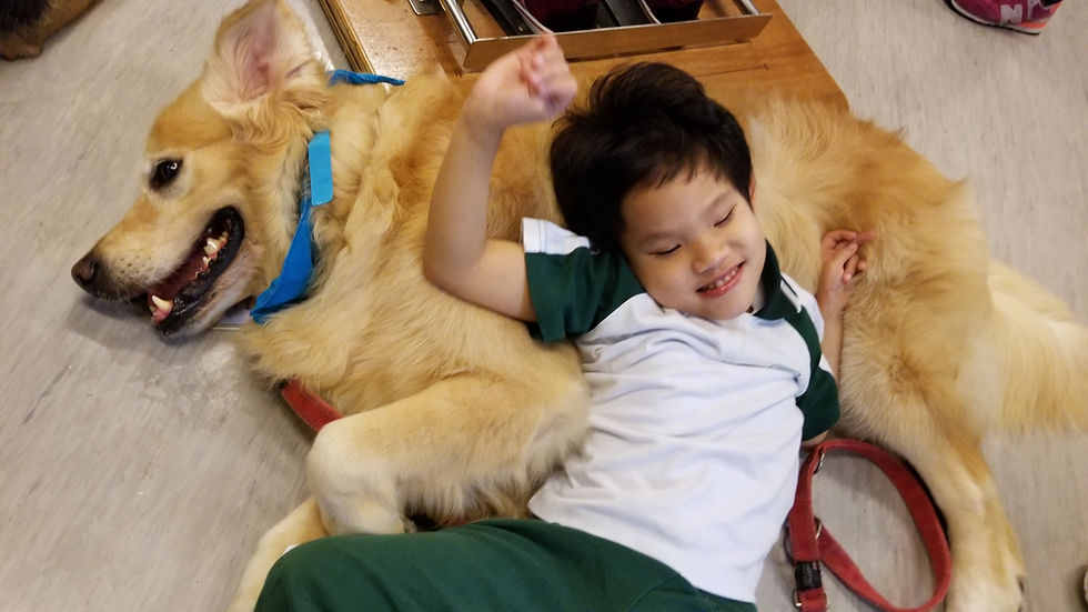 動物醫生探訪 Animal doctor visit