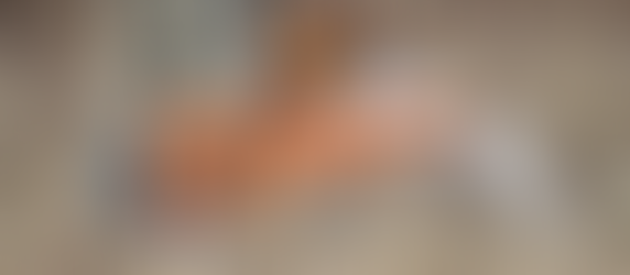 CEB-US Mission Statement Part 3 - Maintaining Fieldwork and Conformation Standards for the Epagneul Breton