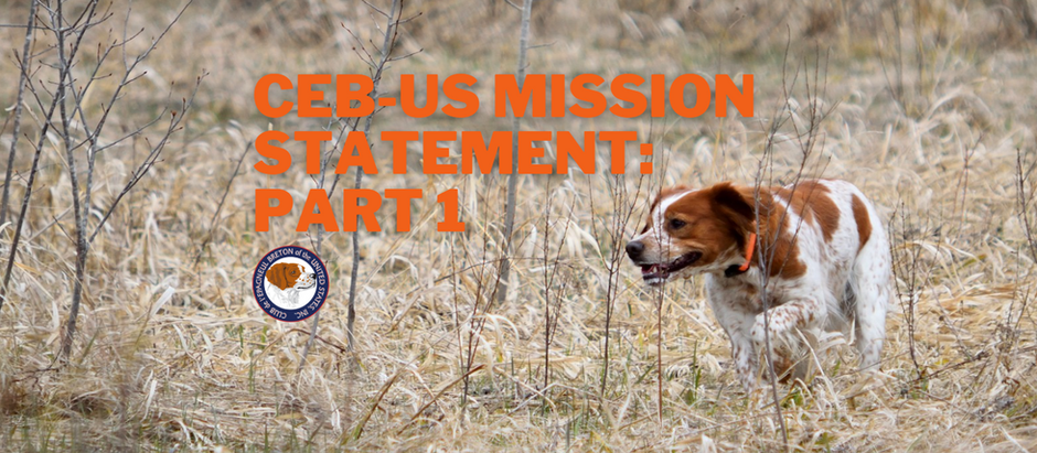 CEB-US Mission Statement Part 1 - Protecting and Promoting the Epagneul Breton: Why It Matters