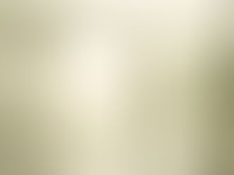 Wieso nutzt die Deutsche Telekom AG Appical ergänzend zu ihrer HRM-Lösung?