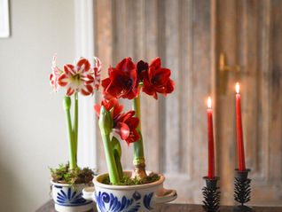 Joulun helpot koristeluvinkit