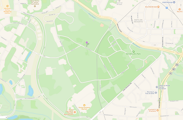 NDP map.png