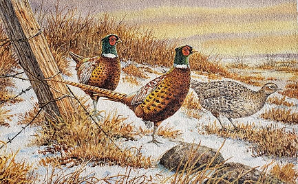 pheasants.jpg
