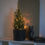 Miniaturbild: LED Büschellichterkette Micro warm-weiß Innenbereich