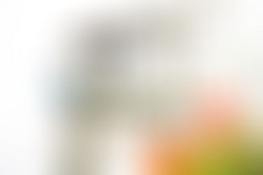 Tema Libero,i risultati