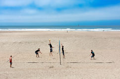 Portfolio, i progetti dei soci.