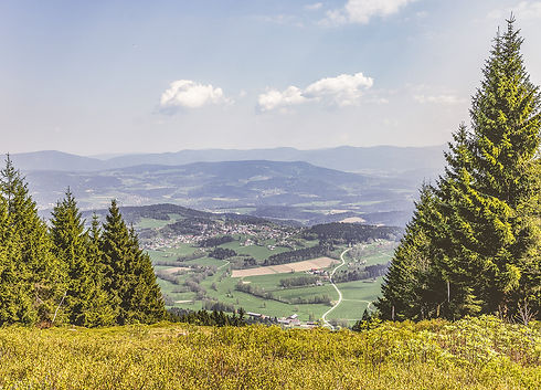 Bavorská stezka - Baierweg 5. etapa Neukirchen b. Hl. Blut – Kdyně