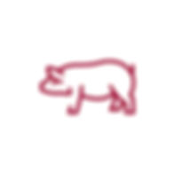 Tradiční chodská jídla