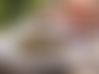 Bavorská kuchyně_3