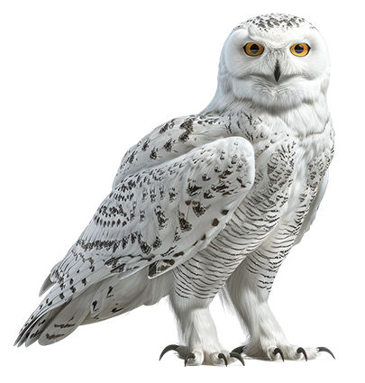 Sovice sněžná návštěvnické centrum Borová Lada