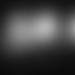 A grayscale image of an audience watching a concert stage