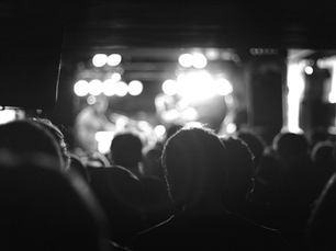 A grayscale image of an audience watching a concert stage