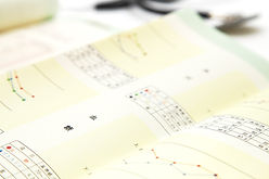 日本人の健康証明書