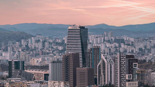 Выписка из реестра Грузии: как получить данные о бизнесе и недвижимости онлайн