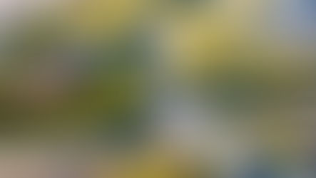 Live-Stream: Info-Veranstaltung Georg-Schwarz-Brücken 