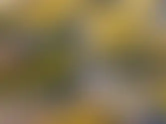 Schienenersatzverkehr bis Juli und nicht barrierefrei