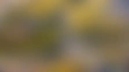 Schienenersatzverkehr bis Juli und nicht barrierefrei