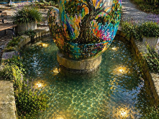 Vom defekten Brunnen zur Klimaoase