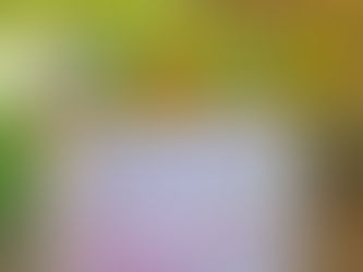 Ein Tag voller Freude und Farben