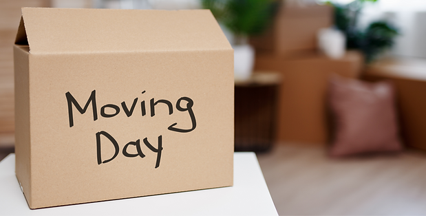 Moving Day Box