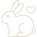 rabbit icon