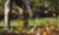 651ed713561c984caf66ce5e_leaf-blowing-company-downingtown-pa.jpg