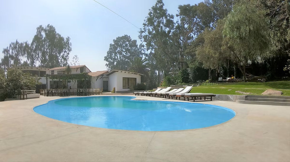 Miniatura: Retiro Holístico de Sanación en el campo