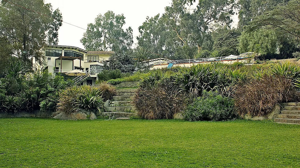 Miniatura: Retiro Holístico de Sanación en el campo