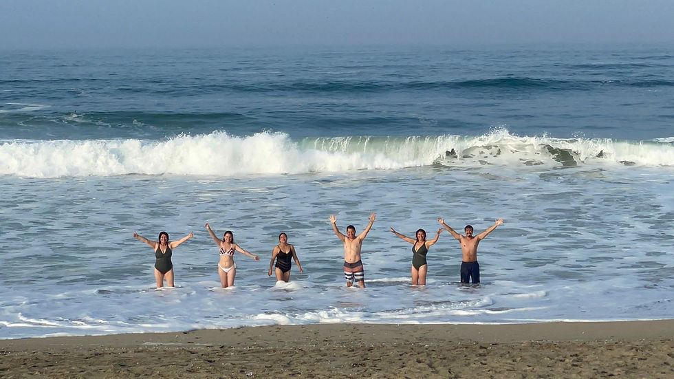 Miniatura: Constelaciones Familiares en la playa