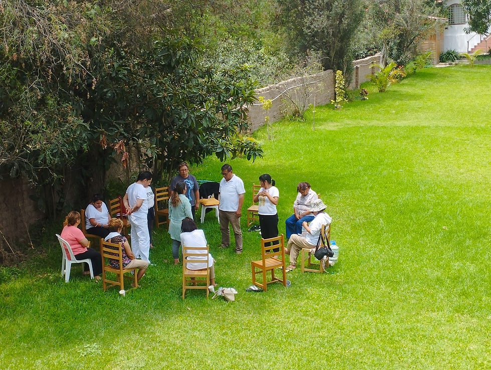 Miniatura: Retiro Holístico de Sanación en el campo