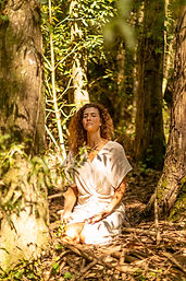 Terapia Integrativa Psicossomática e sistémica