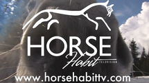 Horse Habit TV