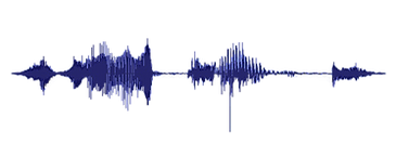 Name Waveform no background.png