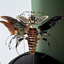 éclaté à la Beauchêne de goliath