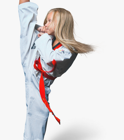 279-2797428_taekwondo-taekwondo-png-transparent-png.png