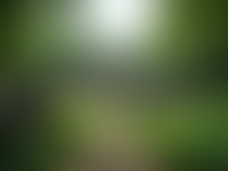 Albania Group Travel Options: Small Group Tours in Albania for 2025