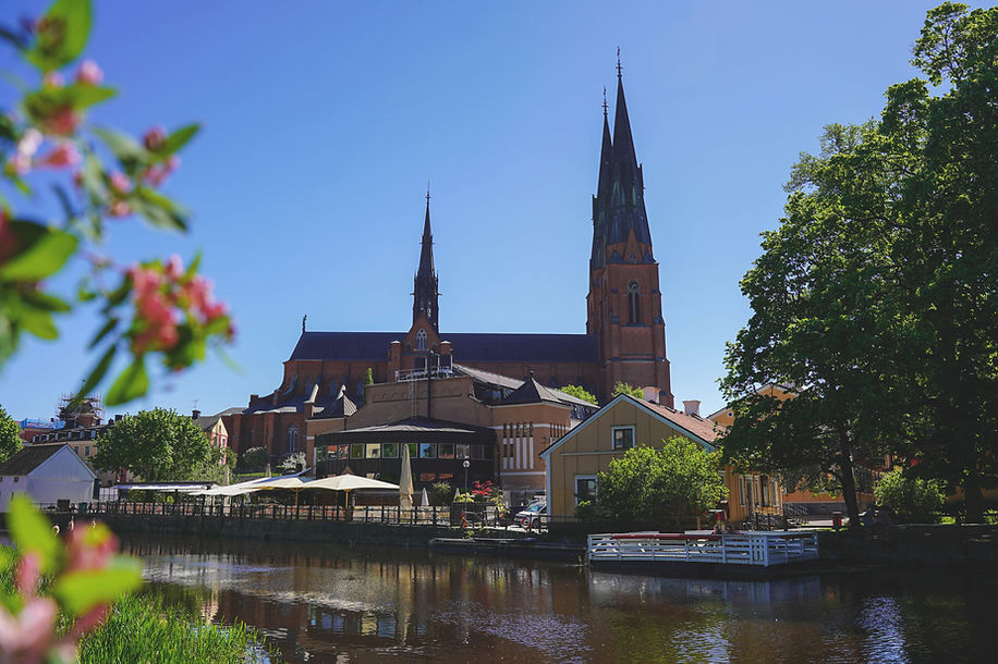 emmie_bolmstedt-uppsala_cathedral-10545.jpg