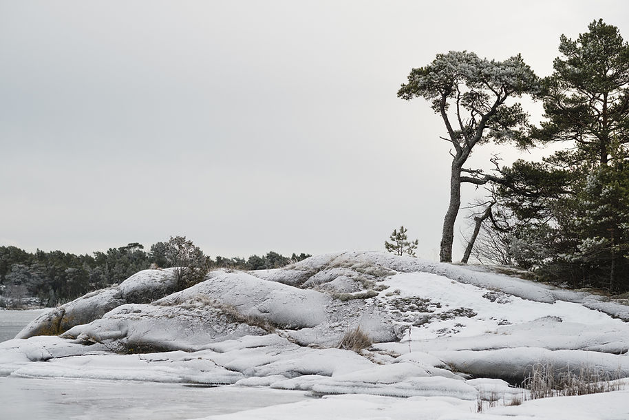 helena_wahlman-winter_landscape-5585.jpg