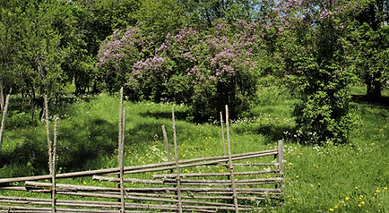 Screenshot 2025-12-11 142030.png