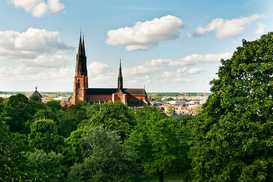 samir_hadi-uppsala_cathedral-1187.jpg