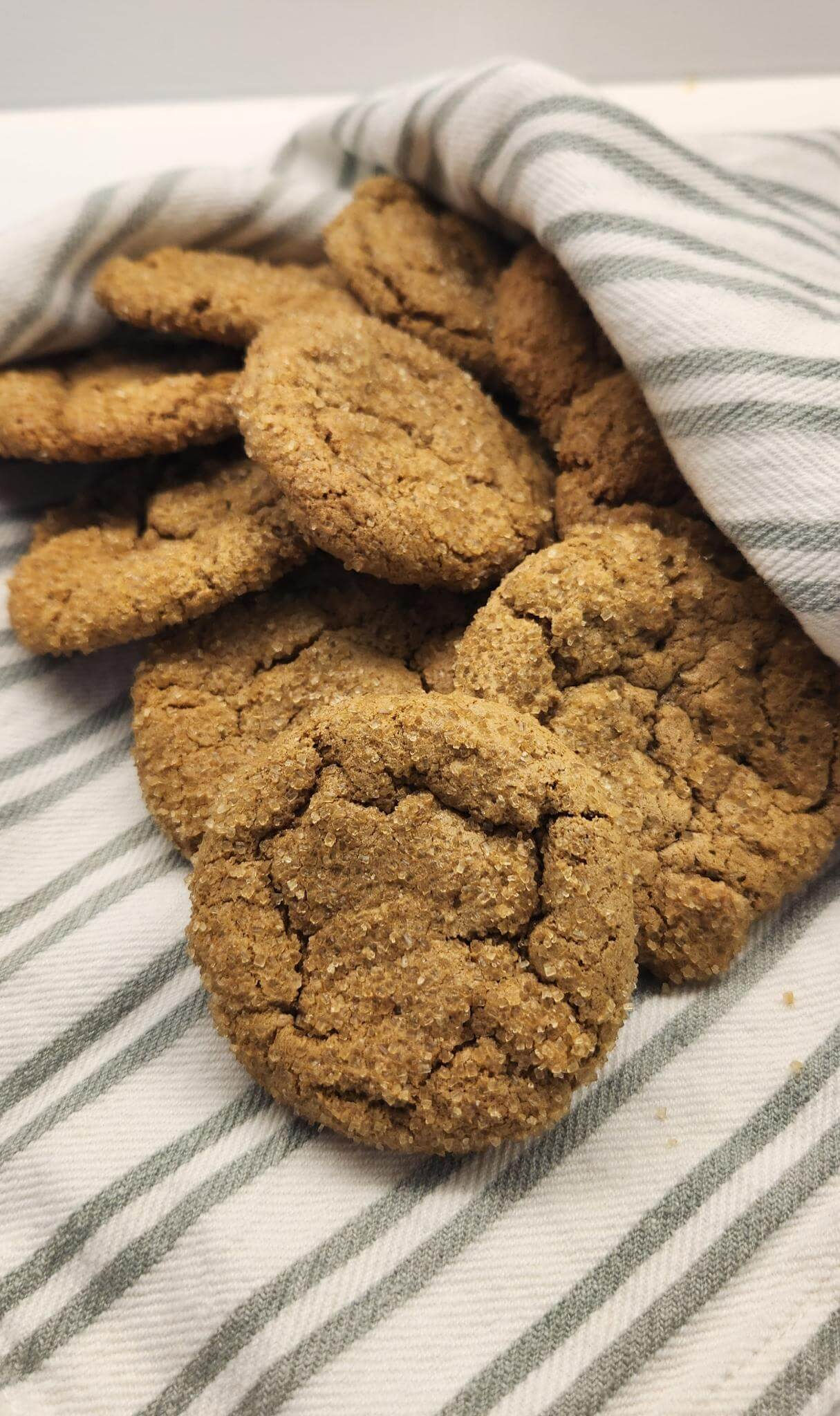 Ginger Cookies
